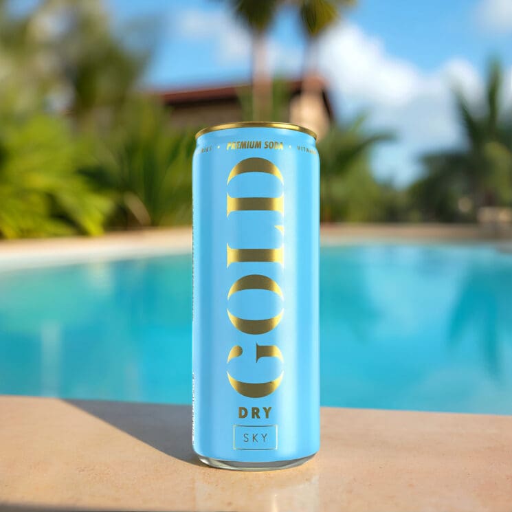 GOLD DRY Sky Premium Soda